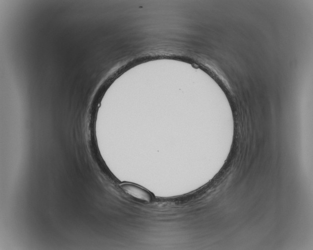 X0000111450395200908101039