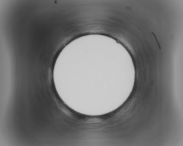X0000111450397200908101039