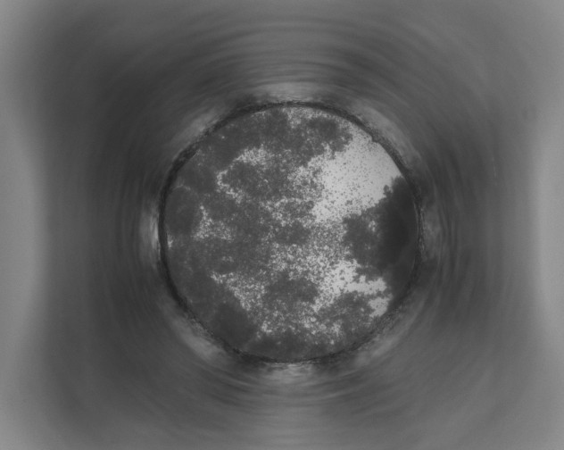 X0000111450398200908101039