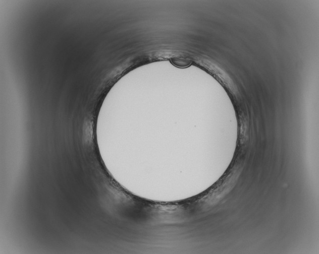 X0000111450401200908101038