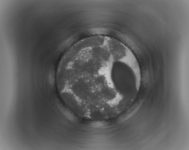 X0000111450402200908101038