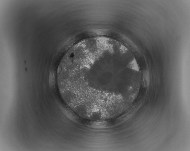 X0000111450410200908101038