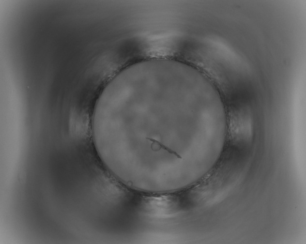 X0000111450411200908101038