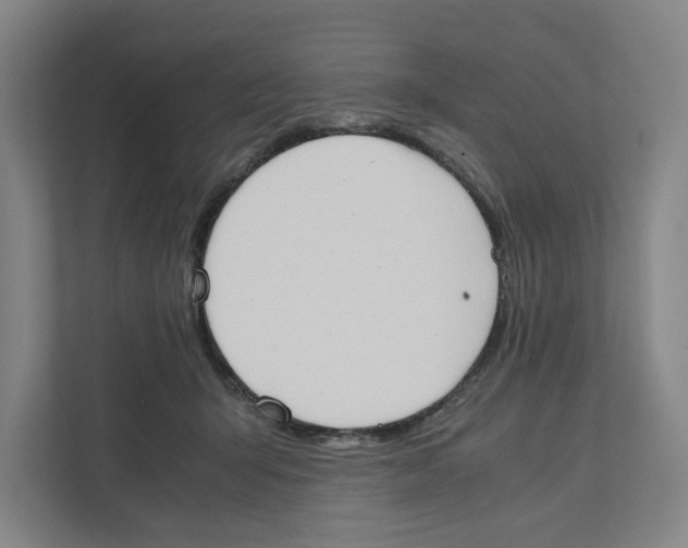 X0000111450415200908101038