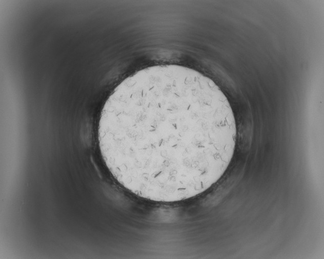 X0000111450416200908101038