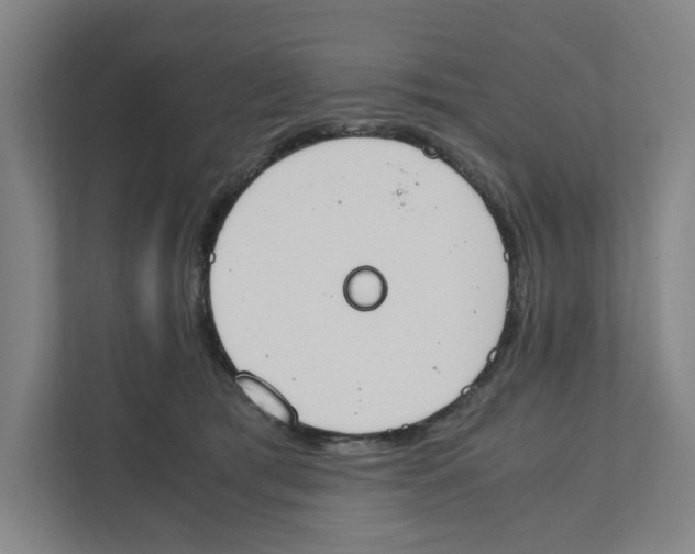 X0000111450417200908101038