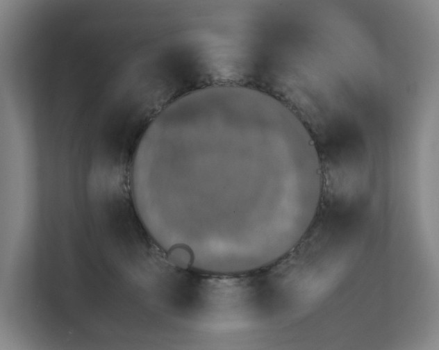 X0000111450419200908101038