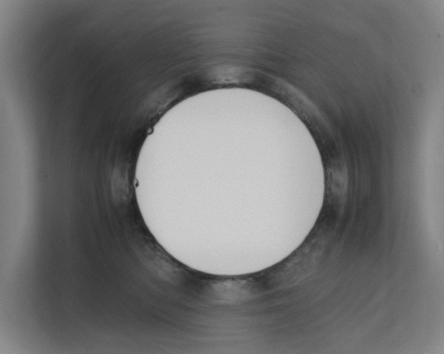 X0000111450422200908101038