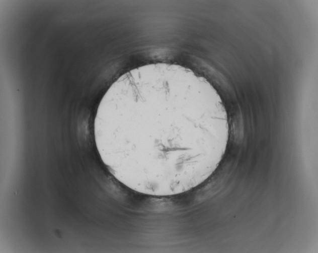 X0000111450424200908101038
