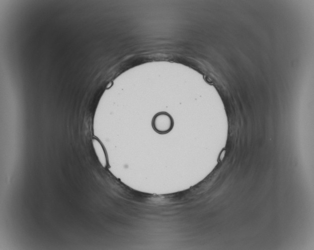X0000111450425200908101038