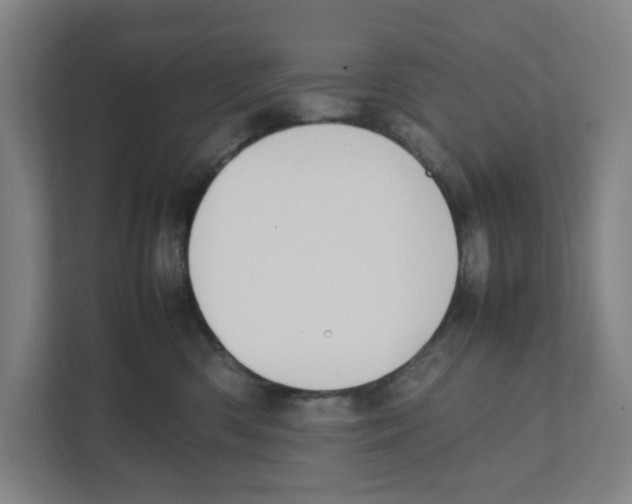 X0000111450426200908101038