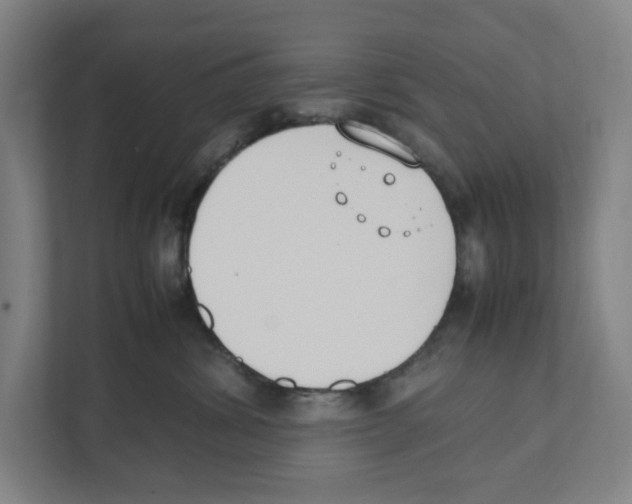X0000111450428200908101038