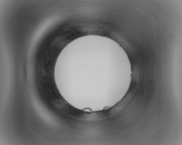 X0000111450430200908101038