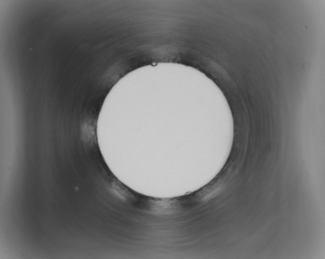 X0000111450432200908101038