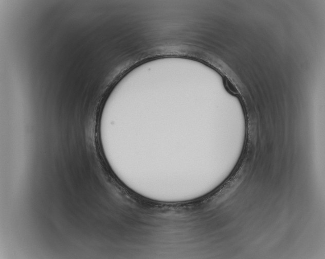 X0000111450434200908101037