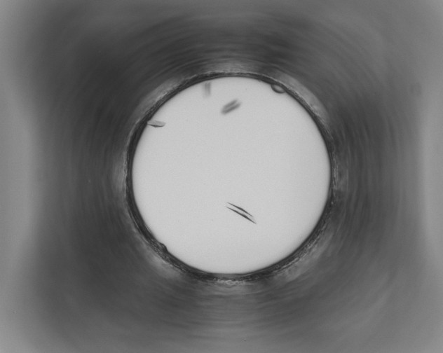 X0000111450437200908101038