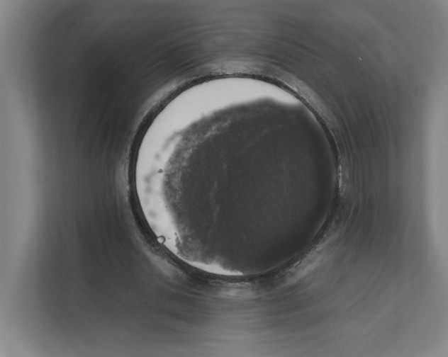 X0000111450438200908101038