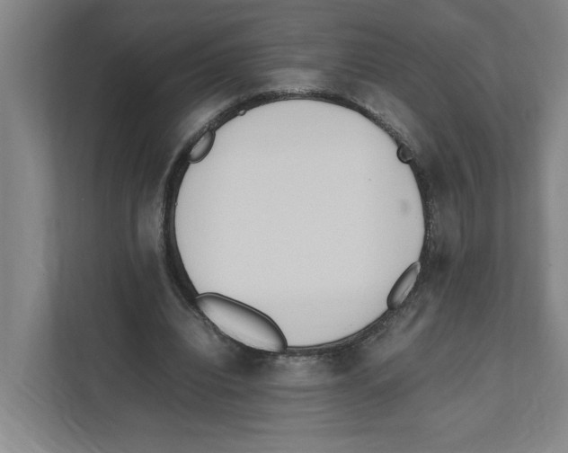 X0000111450440200908101038