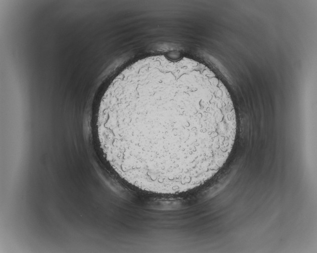 X0000111450443200908101038