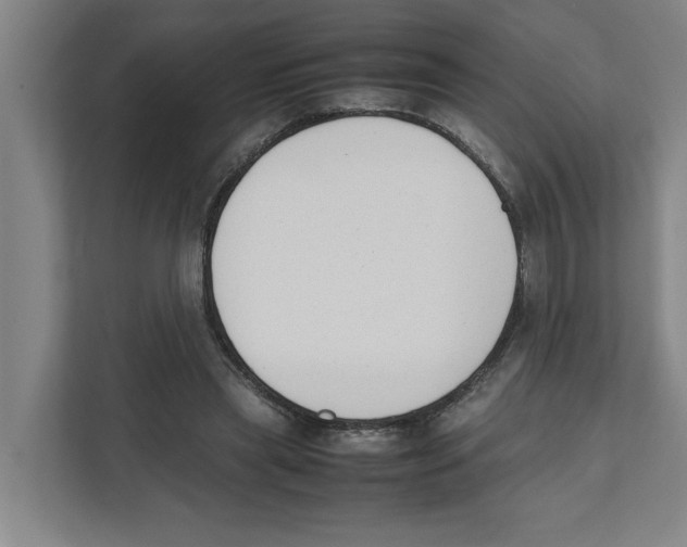 X0000111450445200908101038