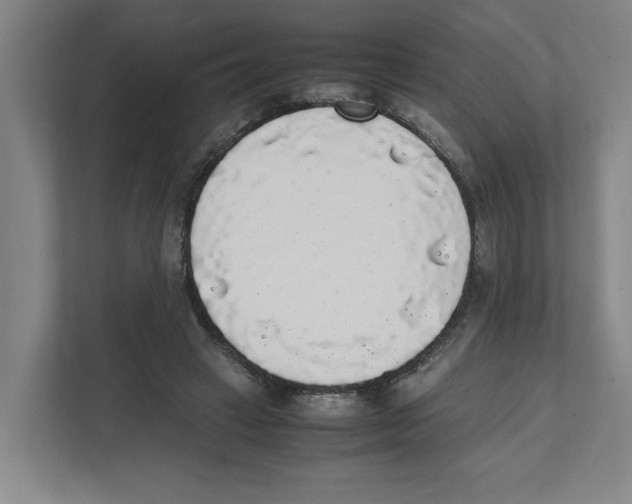 X0000111450449200908101038