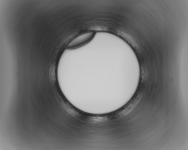 X0000111450453200908101038