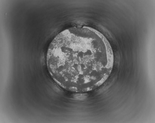 X0000111450465200908101038