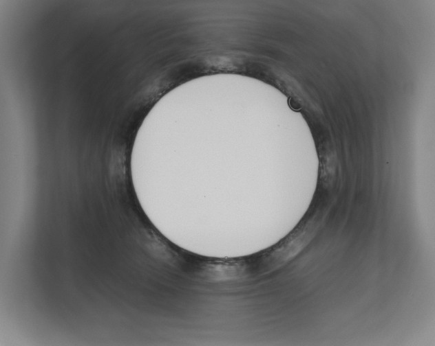 X0000111450466200908101038