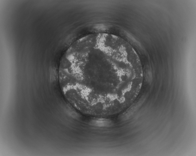 X0000111450467200908101038