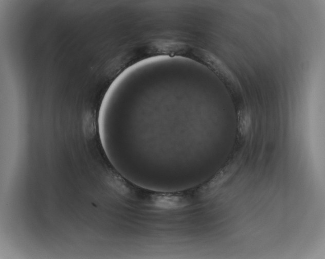 X0000111450471200908101038