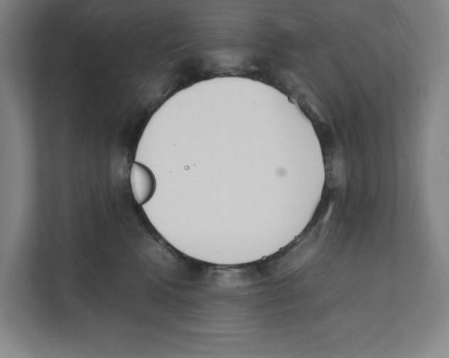 X0000111450472200908101038