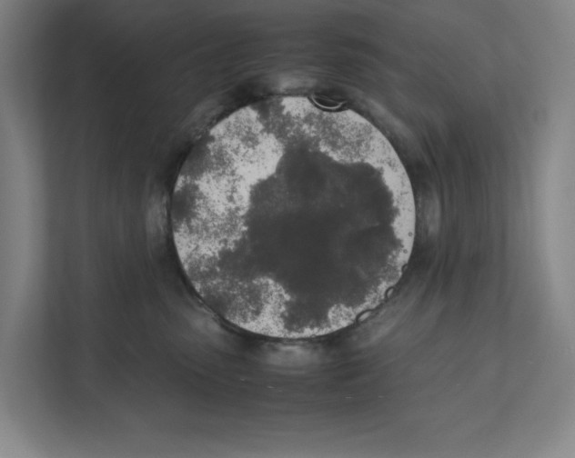 X0000111450475200908101038