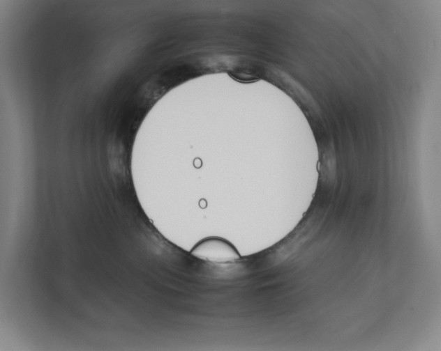 X0000111450477200908101038