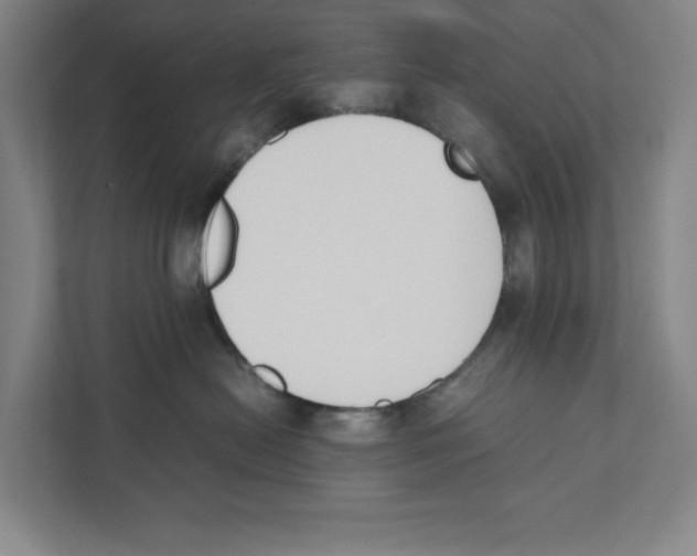 X0000111450478200908101038