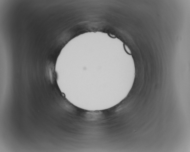 X0000111450480200908101038
