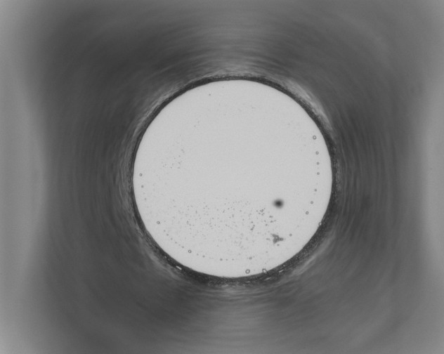 X0000111450481200908101037