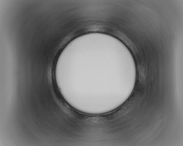 X0000111450482200908101037