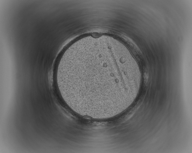 X0000111450484200908101037