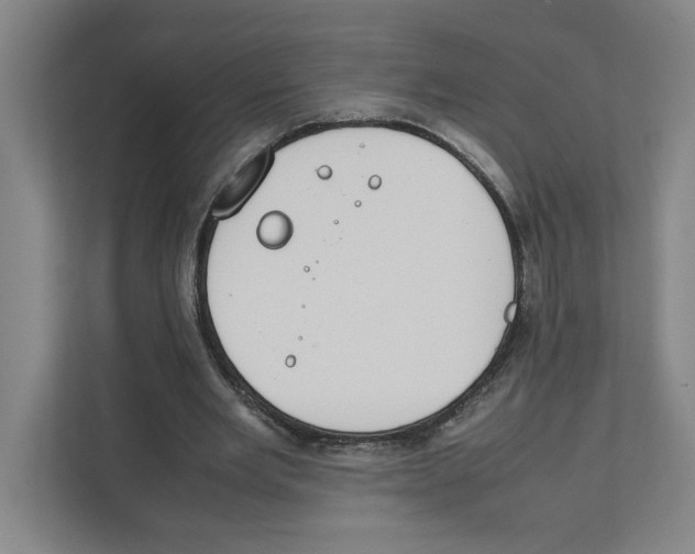 X0000111450485200908101037