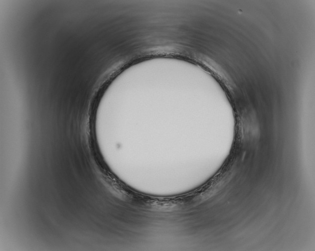 X0000111450486200908101037