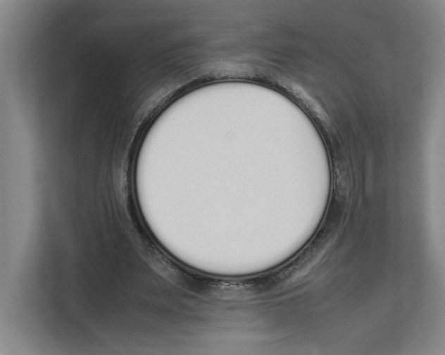 X0000111450487200908101037