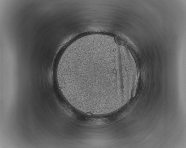 X0000111450488200908101037