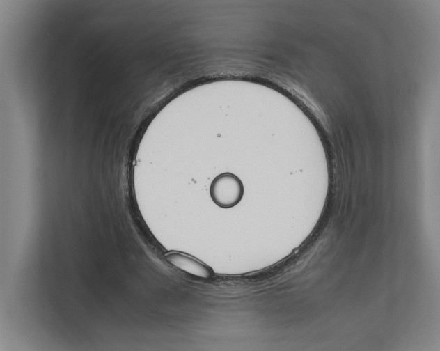 X0000111450489200908101037