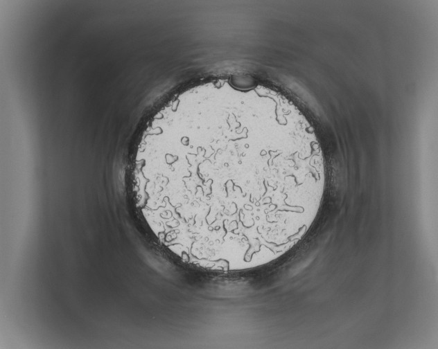 X0000111450491200908101037
