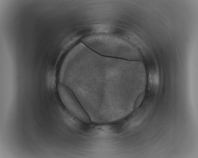 X0000111450492200908101037