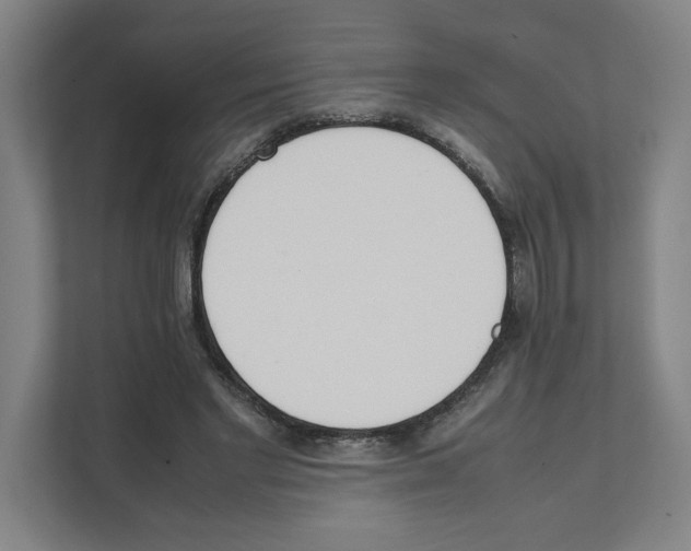 X0000111450493200908101037
