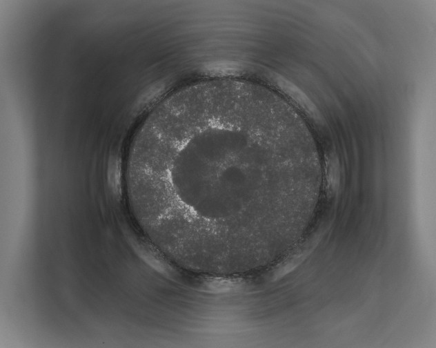 X0000111450494200908101037