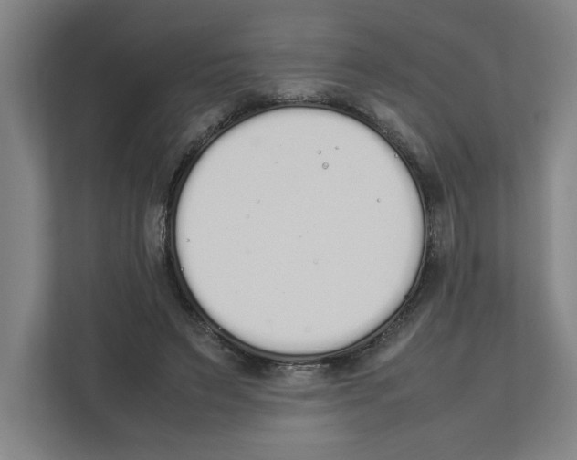 X0000111450495200908101037