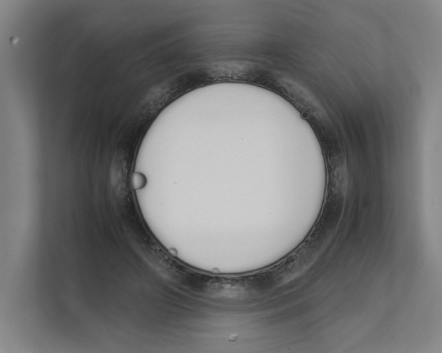 X0000111450498200908101037