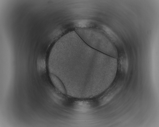 X0000111450500200908101037